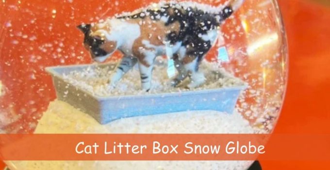 Cat Litter Box Snow Globe
