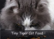 Tiny Tiger Cat Food